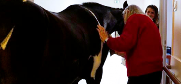 Gérontologie et société – l’Homme et l’Animal – Webinaire du 11 février